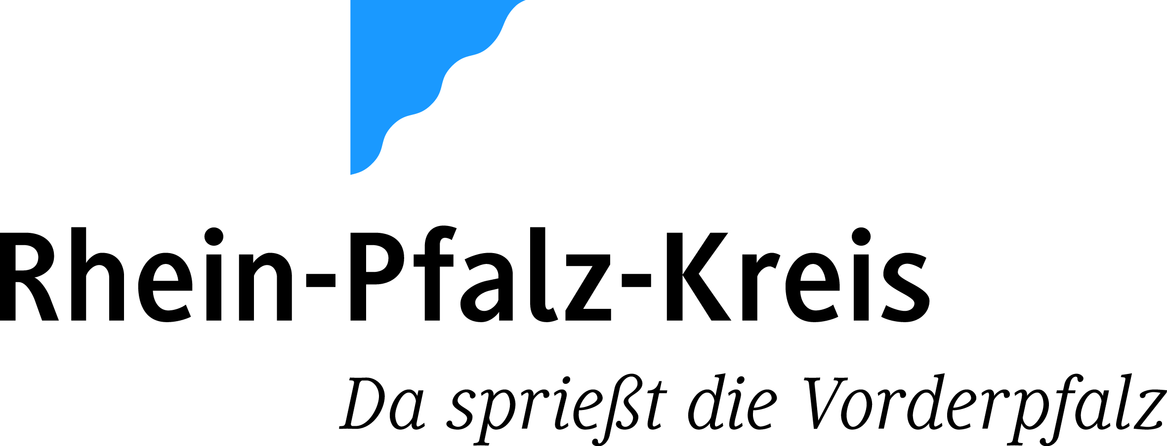 rpk logo blau cmyk